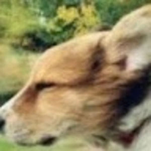 Meet your Posher, Tim